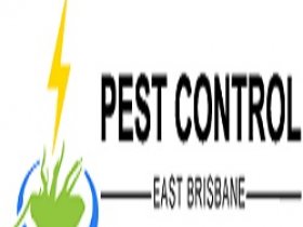 Cockroach Control East Brisbane