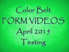 Color Belt Form Videos 4.15 Testing