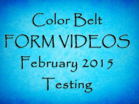 Color Belt Form Videos 2.15 Testing