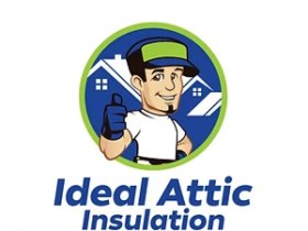 Crawlspace Insulation Removal