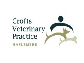 Crofts Veterinary Surgery - Haslemere