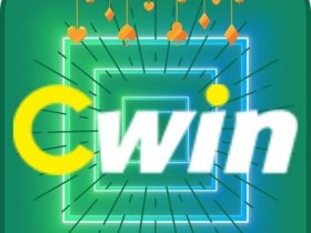 CWIN