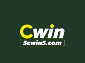 CWIN
