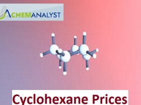Cyclohexane Prices Trend and Forecast