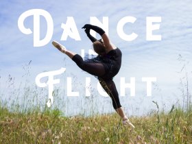 Dance In Flight