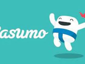 Das beste Online-Kasino Casumo