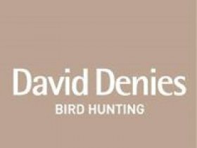 David Denies Bird Hunting