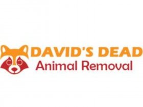 David's Dead Animal Removal