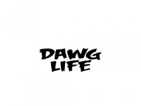 Dawg Life Doggy Daycare Center