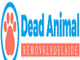 Dead Animal Removal Adelaide