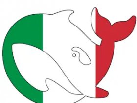 Deepseek Italiano