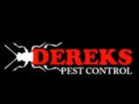 Dereks Wasp Control Brisbane