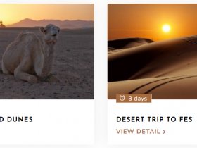 Desert Tours in Morocco