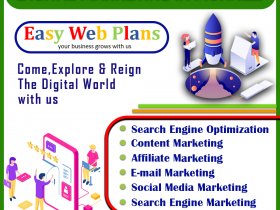 Digital Marketing Company in Mohali