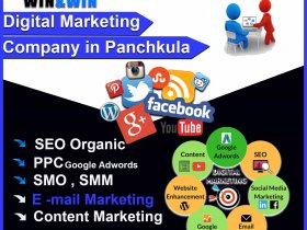 Digital marketing company in panchkula