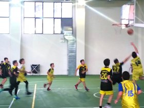 Dionysos basketball Mini 2016-17