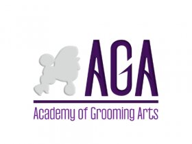 Dog Grooming Courses in Hyderabad