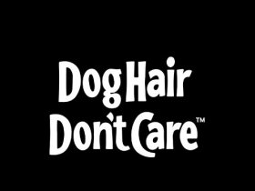 Dog Hair Dont Care