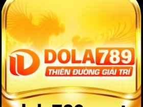 Dola789s net