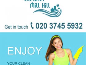 Domestic Cleaner Mill Hill