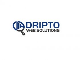 Dripto Web Solutions