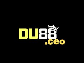 DU88 CEO