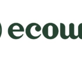 Ecowin Store