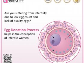 egg donor cost in hyderabad