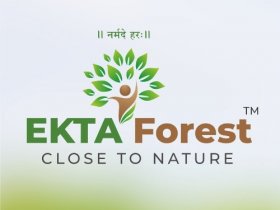 Ekta Forest