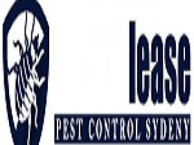 End of Lease Pest Control Sydney