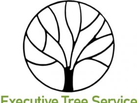 Executive Tree Service NC