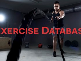 Exercise Database