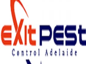 Exit Possum Removal Adelaide