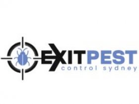 Exit Spider Control Sydney