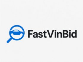 FastVinBid IAAI Reports