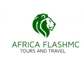 Flash McTours and Travel