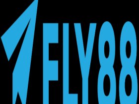 Fly88 tours