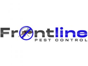 Front Line Bee Removal Perth