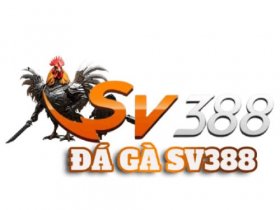 đá gà sv388