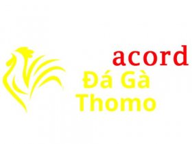 Đá Gà Trực Tiếp Thomo