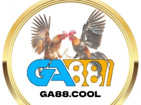 GA88 cool