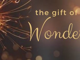 Gift of Wonder