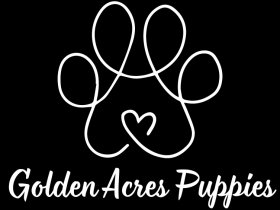 Golden Acres Puppies