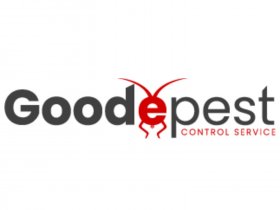 Goode Ant Control Brisbane