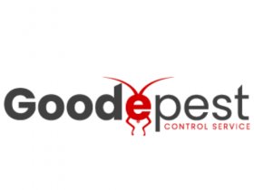 Goode Wasp Removal Canberra