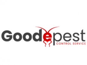 Goode Wasp Removal Sydney