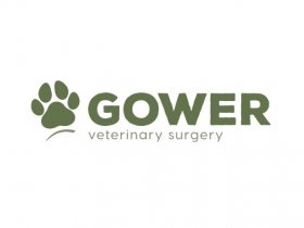 Gower Veterinary Surgery - Swansea