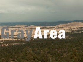 Gray Area Footage