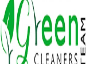 Green Carpet Cleaning Brisbane