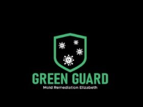 Green Guard Mold Specialist Elizabeth